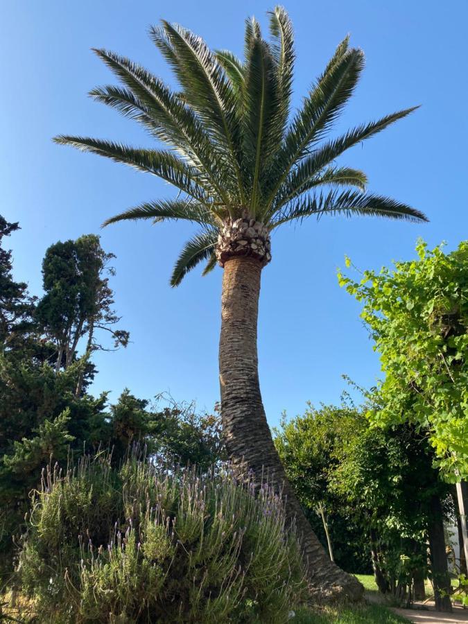 Banti Garden Tarifa Exterior foto