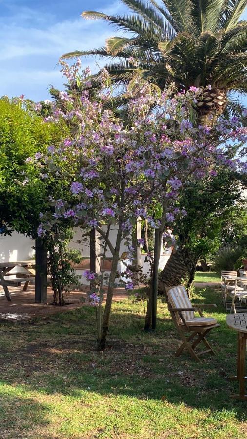 Banti Garden Tarifa Exterior foto